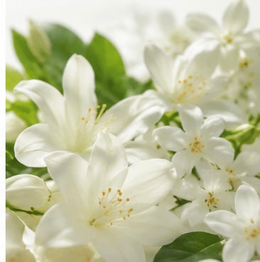 WHITE FLORAL